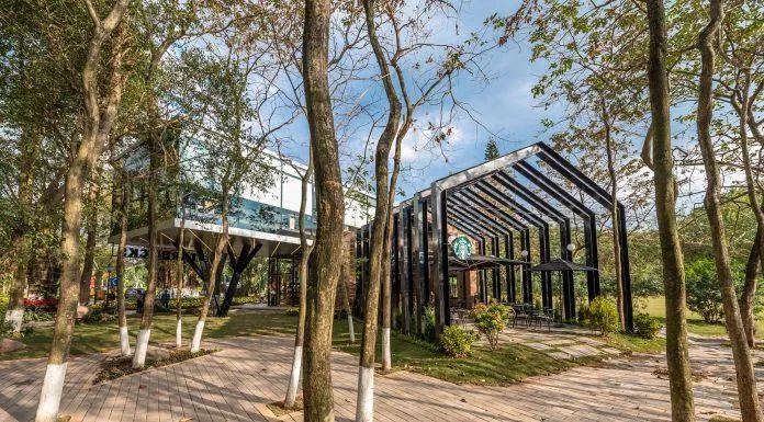 khung cảnh Starbucks Ecopark