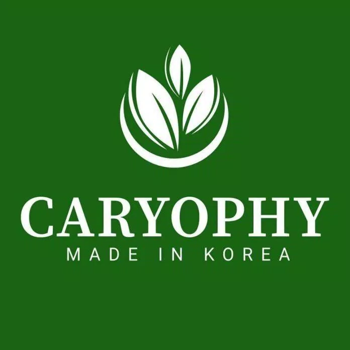 217 Review sữa rửa mặt trị mụn Caryophy Portulaca Cleansing Foam: Cho làn da khỏe đẹp, sạch mụn mới nhất 2 Thương hiệu Caryophy đến từ Hàn Quốc khiến chị em mê mẩn làm đẹp nhanh chóng (nguồn: internet)