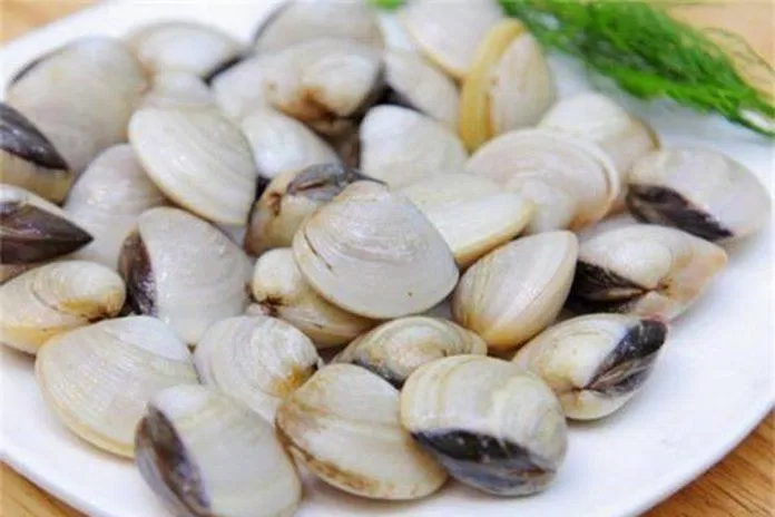 ngao sò