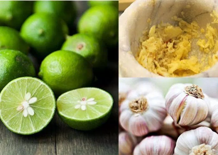 Tăng cường sử dụng các loại rau củ, gia vị chứa nhiều tinh dầu khi chế biến món ăn để bảo vệ đường hô hấp rau củ chứa tinh dầu