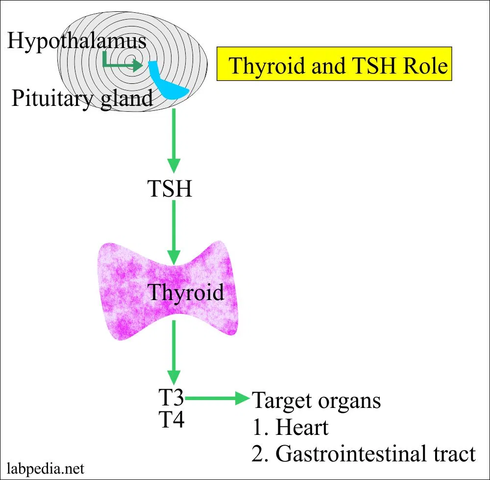 bệnh cường giáp
