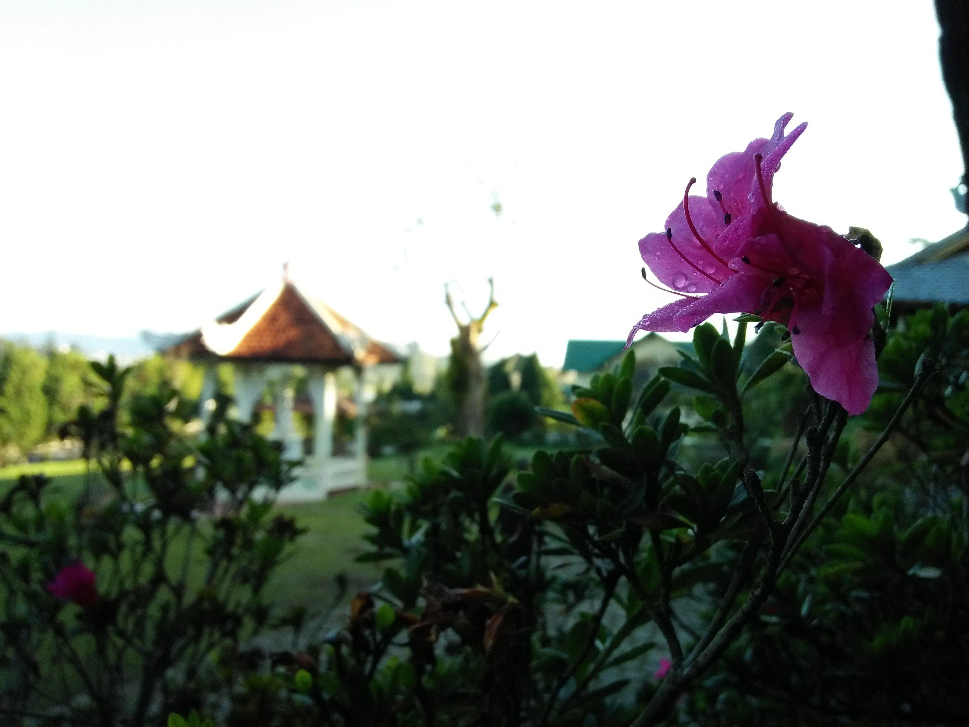 Tham quan Đà Lạt thu