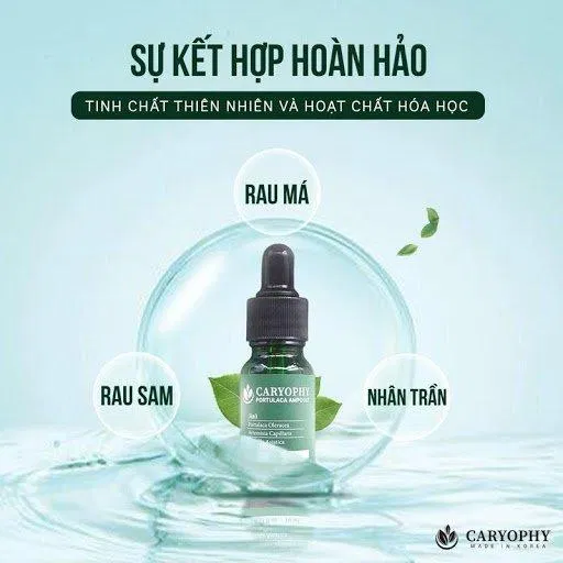 Với 3 thành phần chính là chiết xuất rau sam, lá nhân trần và rau má, serum Caryophy vô cùng lành tính, an toàn cho da. (Ảnh: Internet)