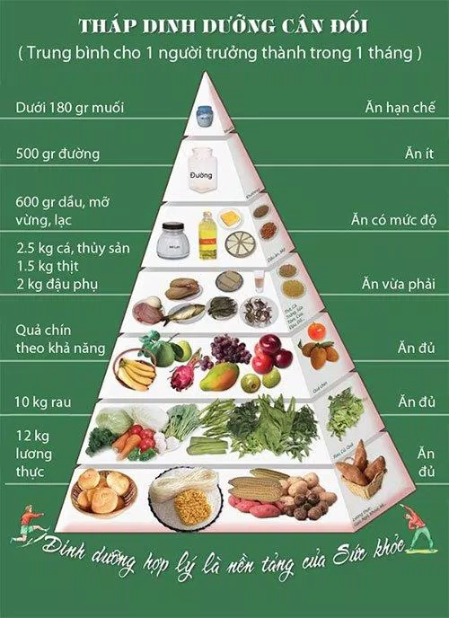 Bạn cần có chế độ dinh dưỡng phù hợp cho việc giảm mỡ (Nguồn ảnh: Internet)