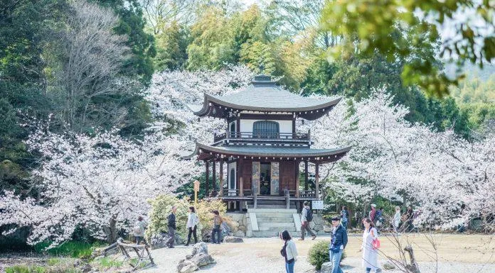 chua-kanju-ji chua-kanju-ji