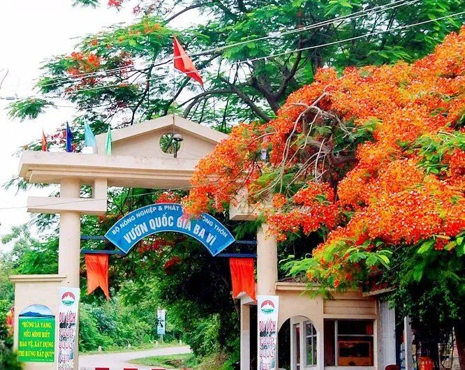 Cổng vào vườn Quốc Gia Ba Vì Cổng vào vườn Quốc Gia Ba Vì