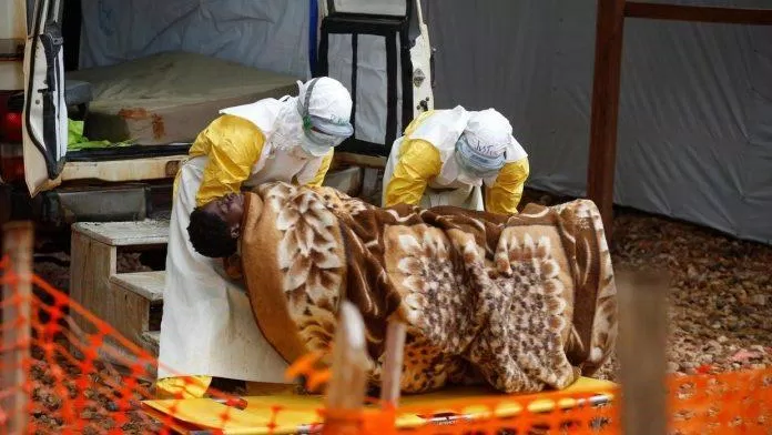 ebola virus