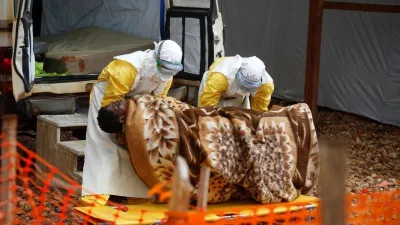 ebola virus