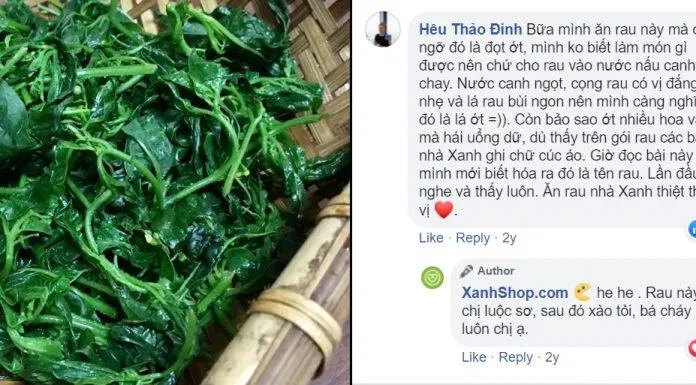 hoa xuyến chi nấu ăn