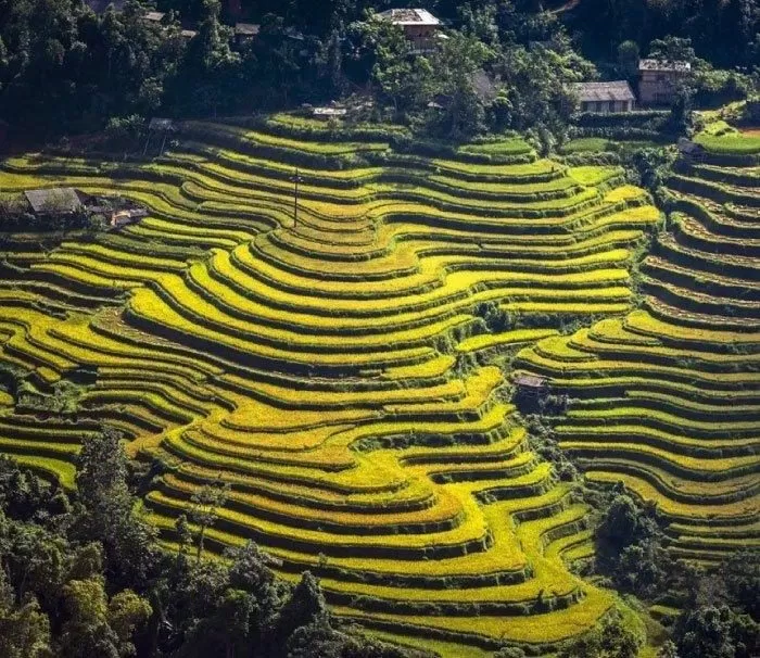 hoang-su-phi