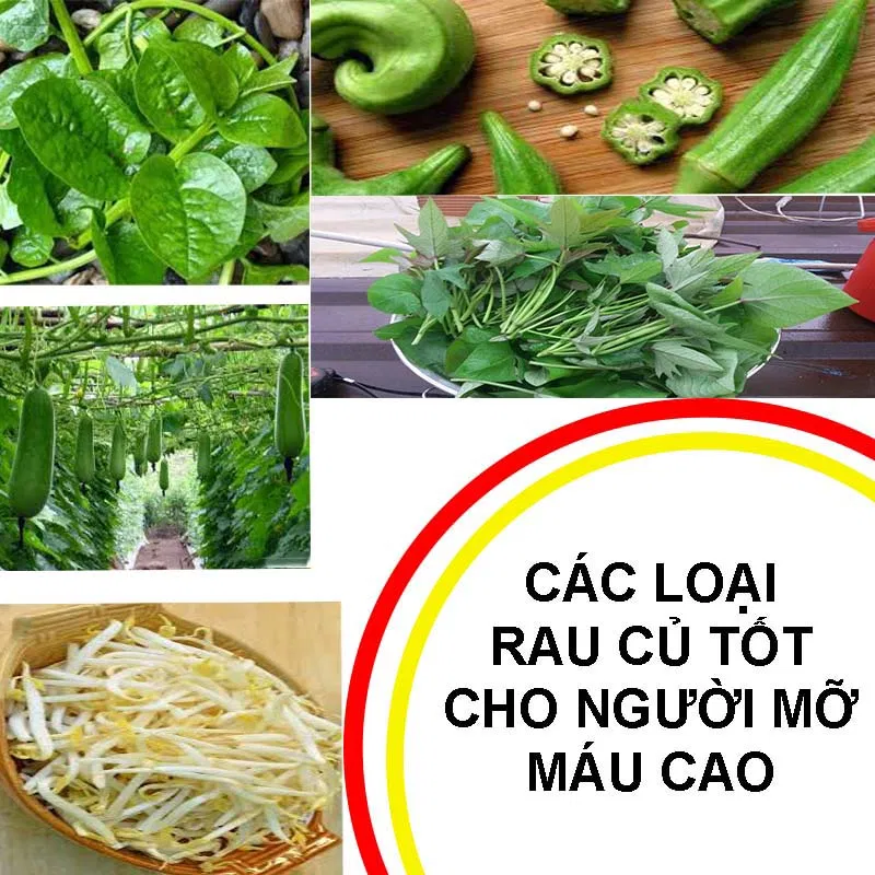 Các loại rau củ tốt cho người mỡ máu cao Các loại rau củ tốt cho người mỡ máu cao