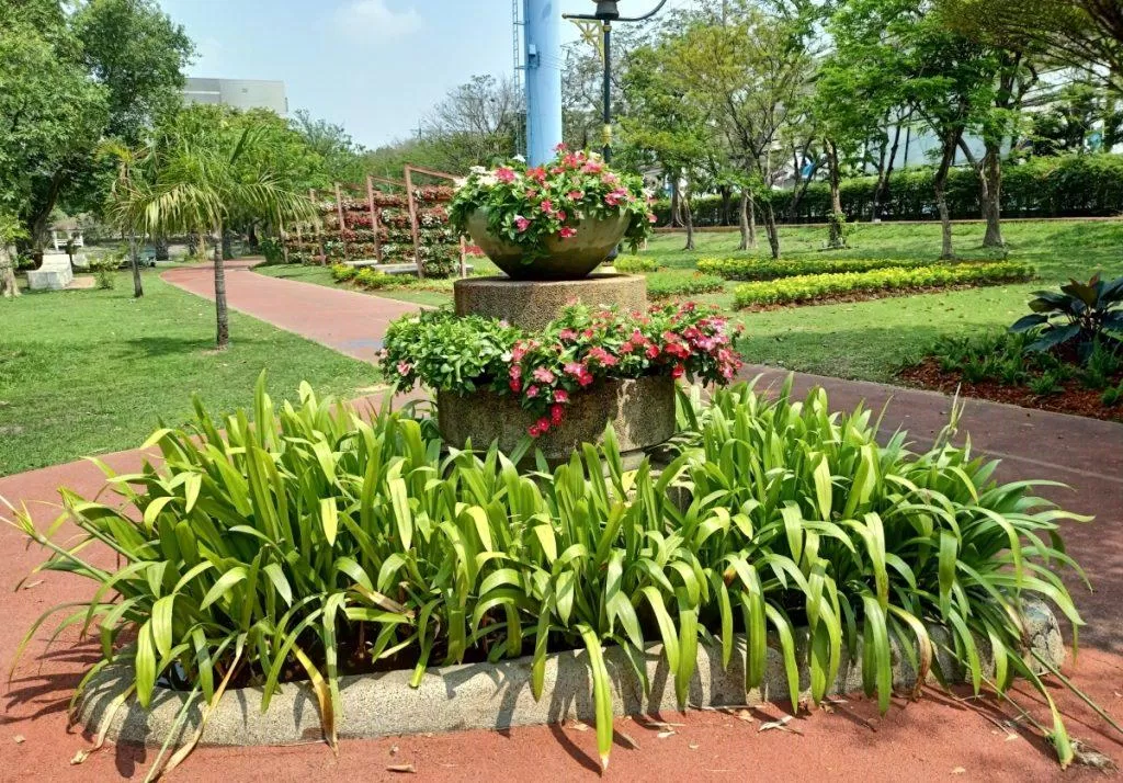 điện thoại oppo A91