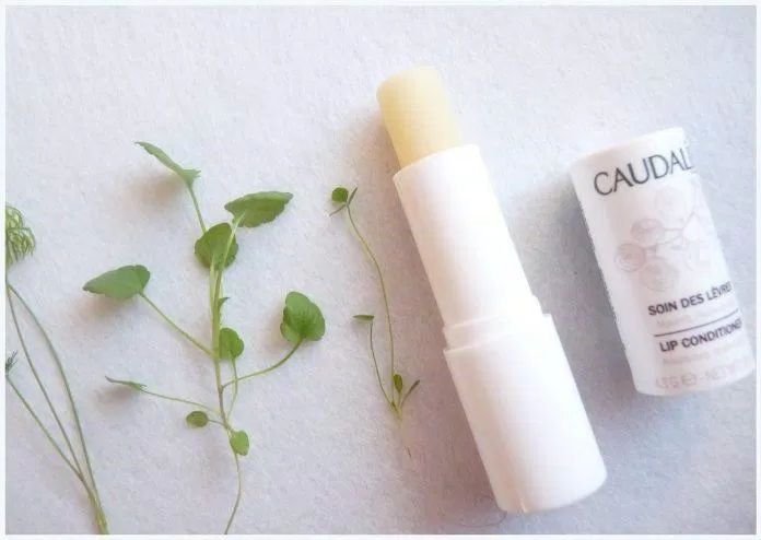 Caudalie Lip Conditioner với thành phần an toàn cho môi