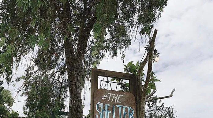The shelter Homestay Đà Lạt The shelter Homestay Đà Lạt