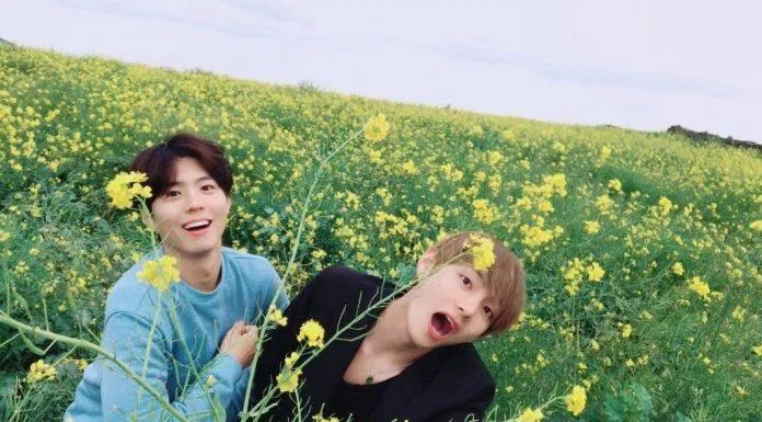 V bts