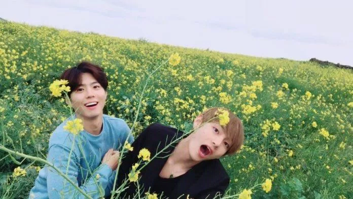 V bts