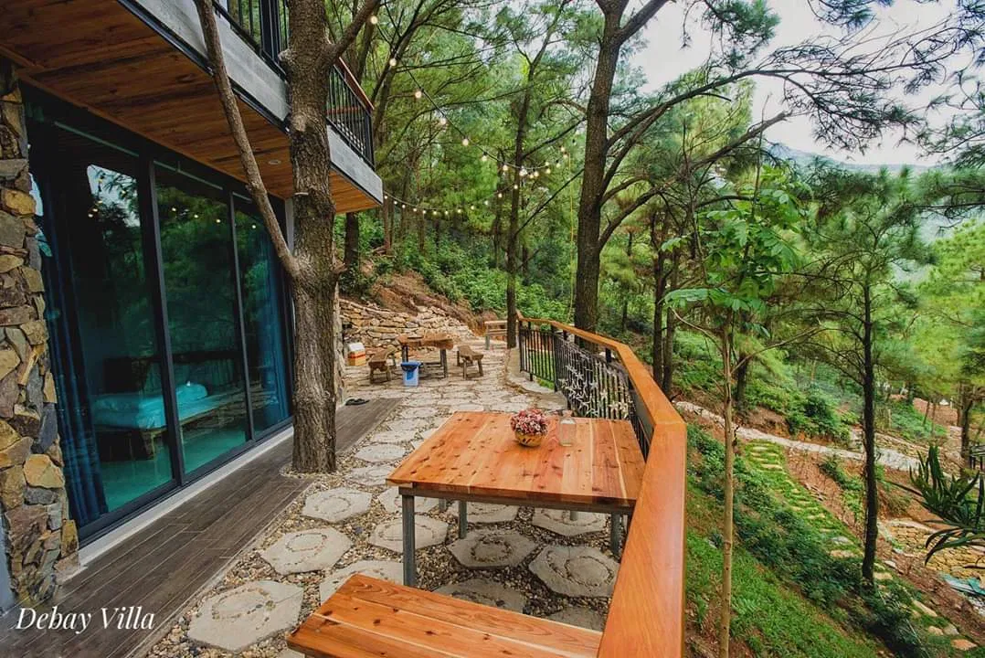 View từ tầng 2 nhìn xuống thung lũng rừng thông