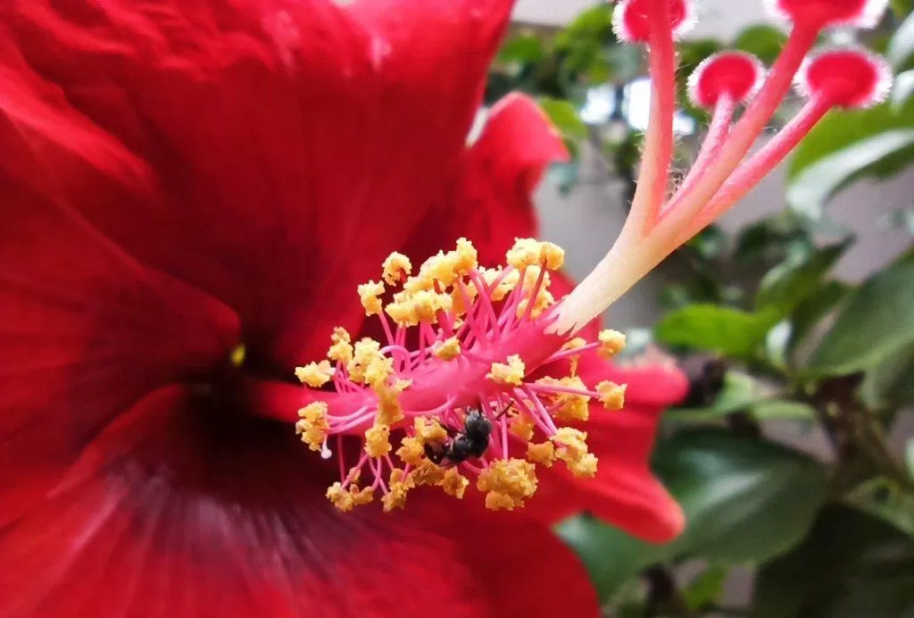 Đánh giá Xiaomi Redmi Note 8 Pro