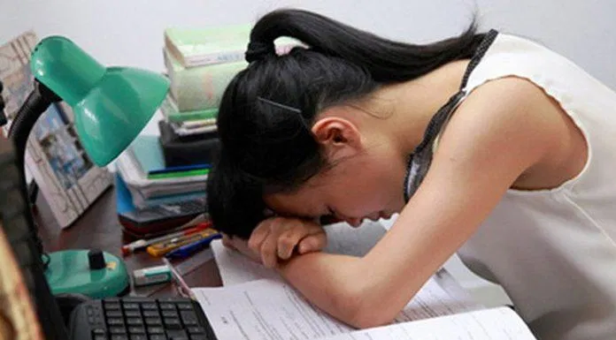 Áp lực học tập thi cử đòi hỏi chúng ta phải chăm sóc cơ thể bằng những thực phẩm tốt (Ảnh: Internet).