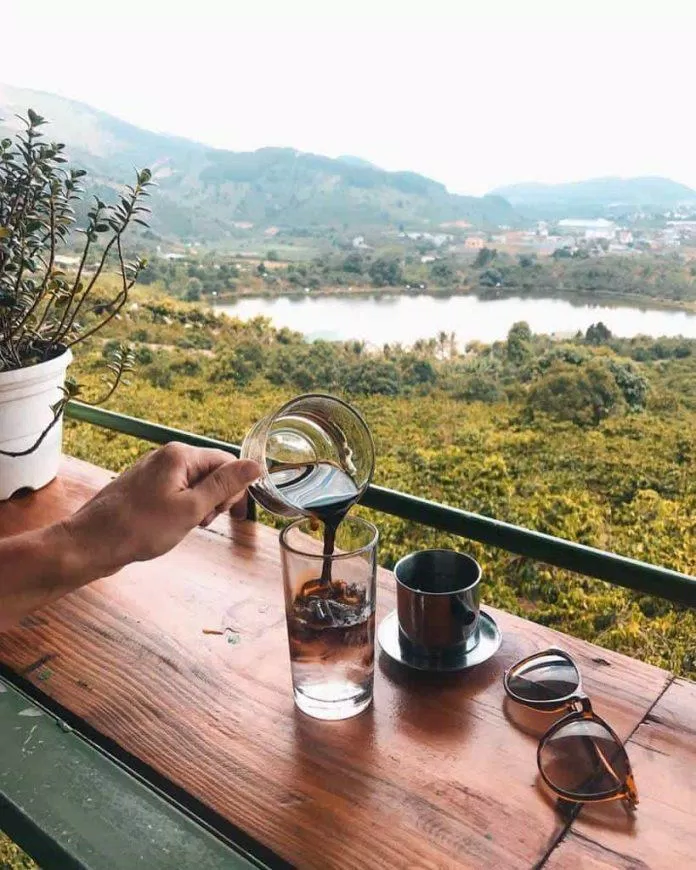 Loại cà phê chồn nổi tiếng nhất định bạn phải thử Loại cà phê chồn nổi tiếng nhất định bạn phải thử Nguồn: Internet)