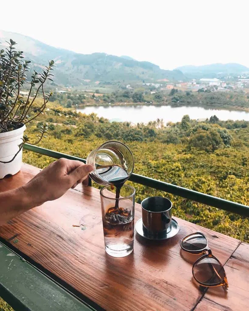 Loại cà phê chồn nổi tiếng nhất định bạn phải thử Loại cà phê chồn nổi tiếng nhất định bạn phải thử Nguồn: Internet)