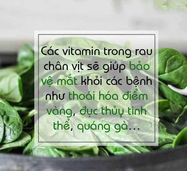 cải bó xôi ngăn ngừa bệnh