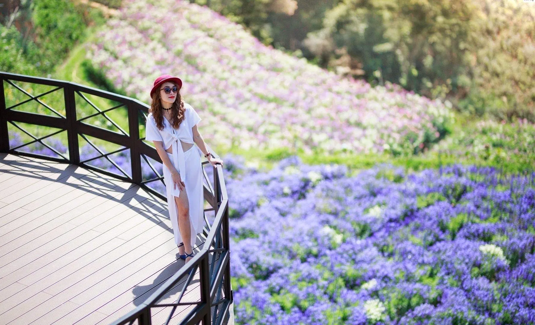 Đây cũng là check in lí tưởng cho các cô nàng bánh bèo Đây cũng là check in cho các cô nàng bánh bèo (Nguồn: Internet)