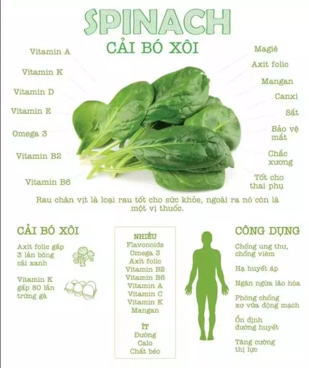 công dụng của cải bó xôi