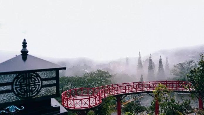 Điểm checkin yêu thích tại Đà lạt view Điểm checkin yêu thích tại Đà lạt view (Nguồn: Internet)