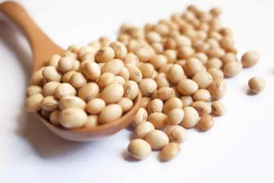 Đậu nành ngăn ngừa thiếu máu não
