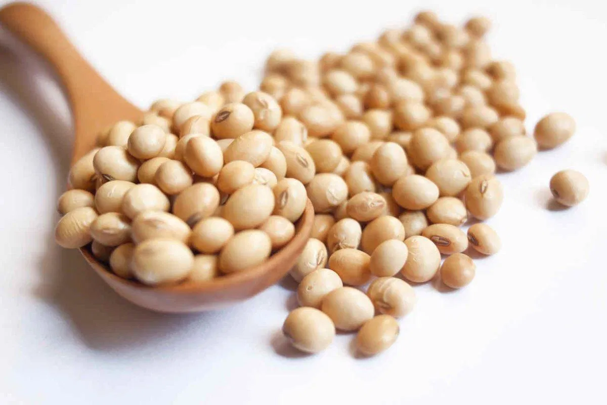Đậu nành ngăn ngừa thiếu máu não