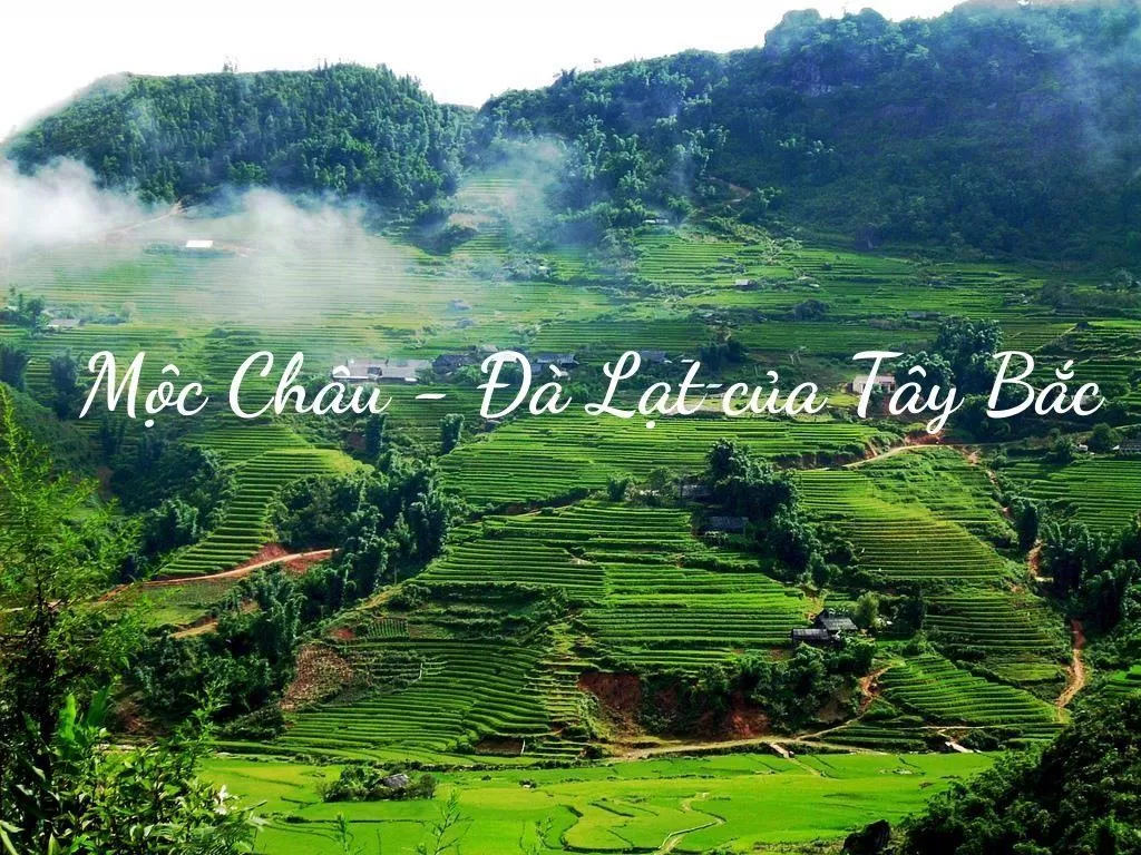 Mộc Châu - Đà Lạt của Tây Bắc. (Nguồn: Internet)