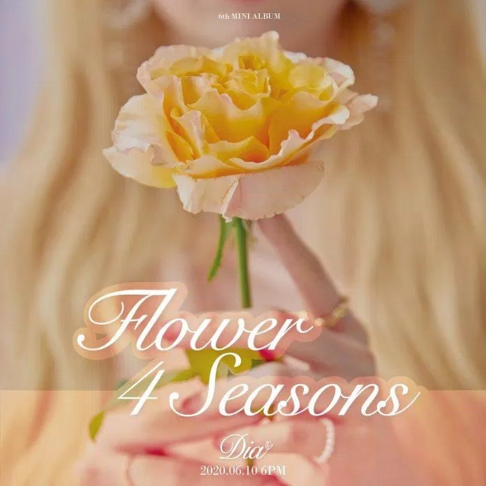 Flower 4 Seasons - DIA (Ảnh: Internet)