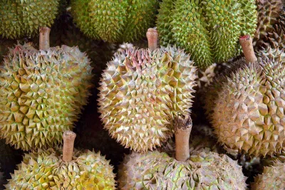 Hình dạng sầu riêng
