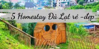 Homestay Đà Lạt rẻ, đẹp. (Nguồn: BlogAnChoi)