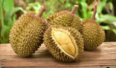 Kích thước sầu riêng