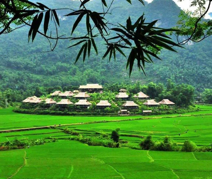 Du lịch Mộc Châu - Núi rừng Tây Bắc đẹp hút hồn. (Nguồn: Internet)
