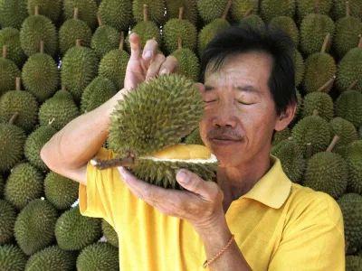 Mùi thơm sầu riêng
