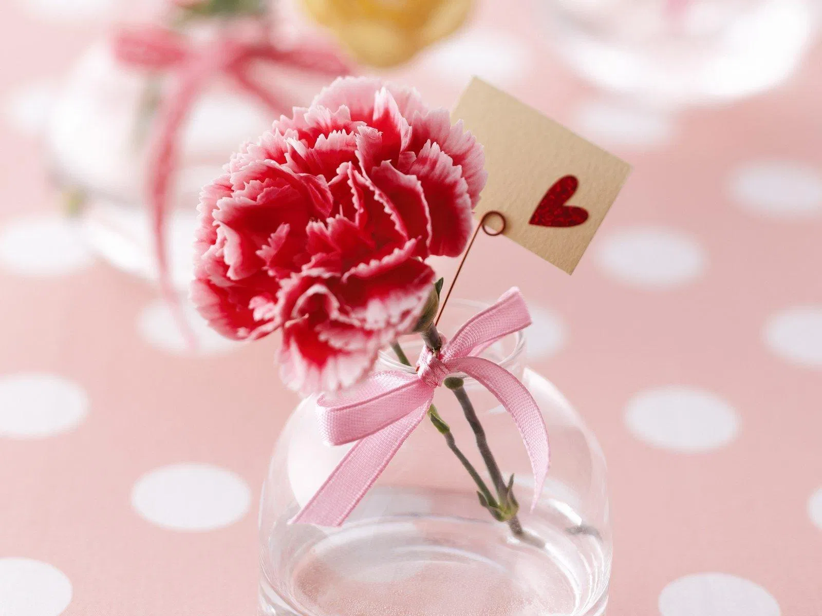 Tặng/cài hoa cẩm chướng đỏ hoặc trắng (Ảnh: Internet)