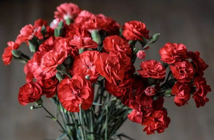 nguồn gốc Ngày Của Mẹ