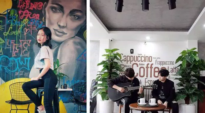 Vivaria đi theo phong cách cafe kết hợp nhà kính, vườn cây, bán cây cảnh. (Ảnh: Internet)