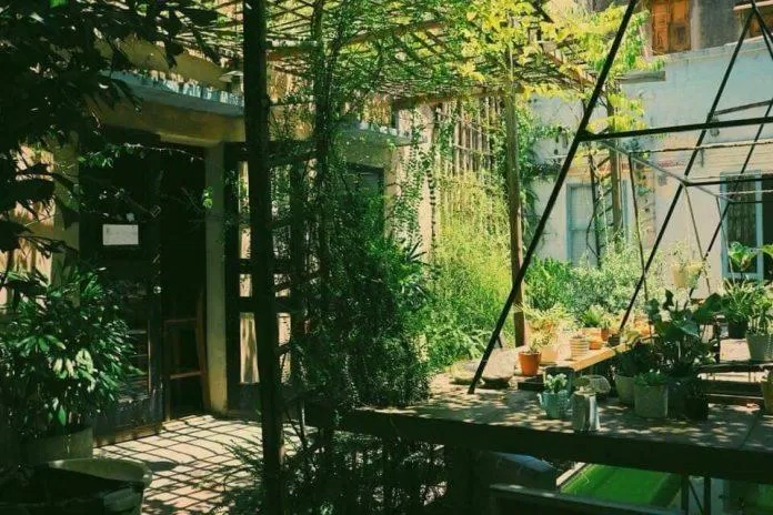 A.M Tea - Hợp Tác Xã Tân Hiệp 2. (Ảnh: Internet)