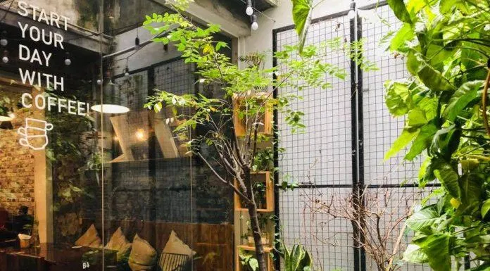 The space of the restaurant is full of trees. (Photo: Internet)