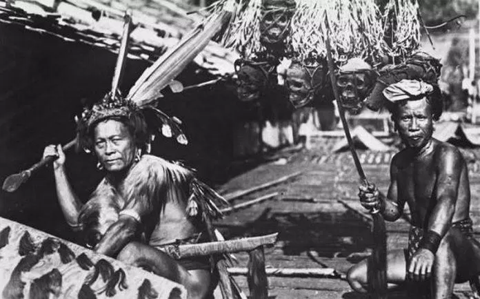 săn đầu người dayak