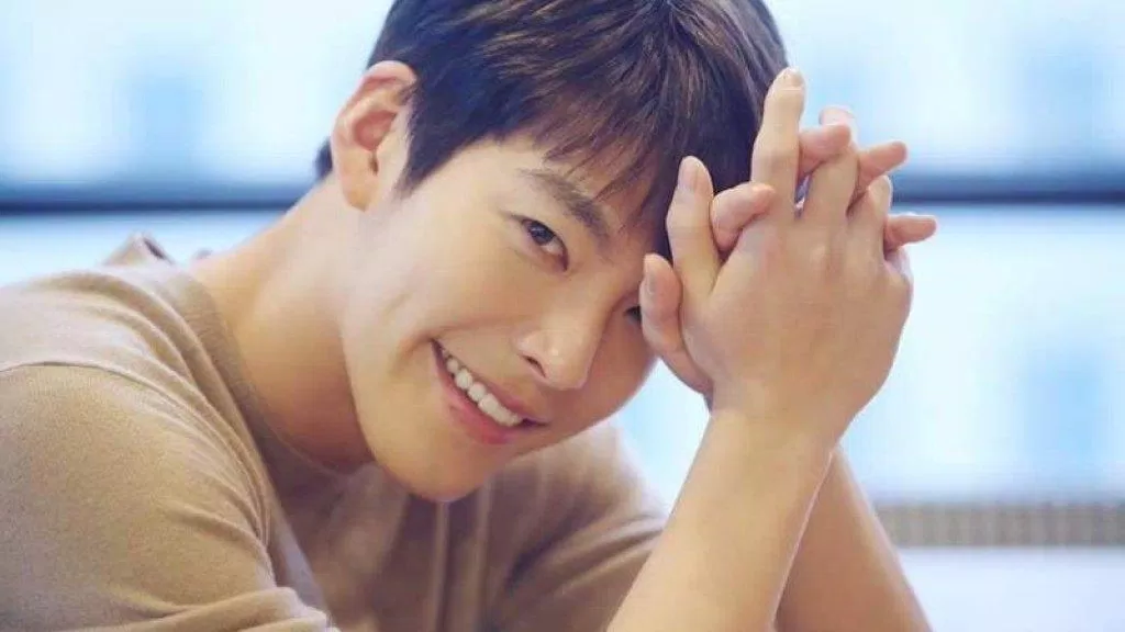 Mỗi lần nhìn nụ cười của Kim Woo-bin là trái tim lại tan chảy (Nguồn: Internet)