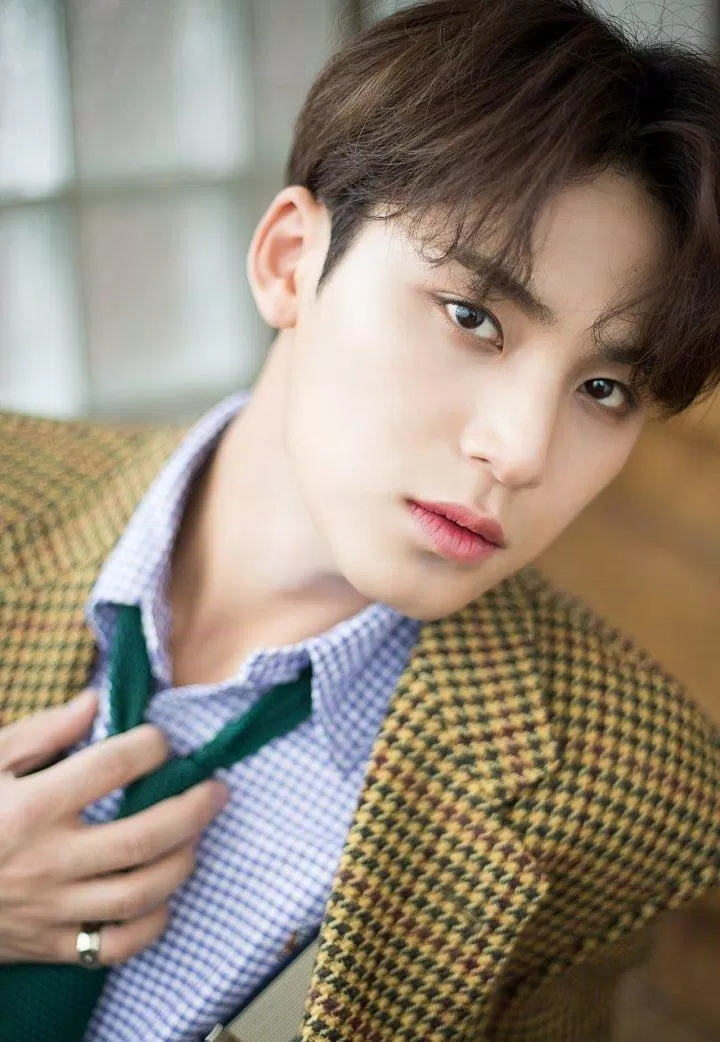 Mingyu với nhan sắc trời cho là một trong những visual hàng đầu KPOP hiện nay 