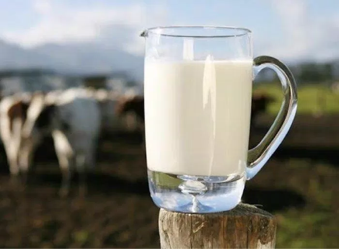 Sữa bò tươi Mộc Châu. (Nguồn: Internet)