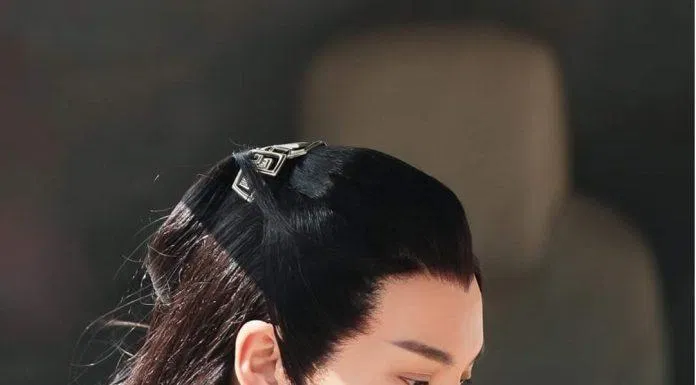 Trần Vỹ Đình Hộc Châu Phu Nhân