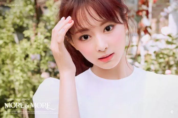 Tzuyu (Nguồn: Twitter).