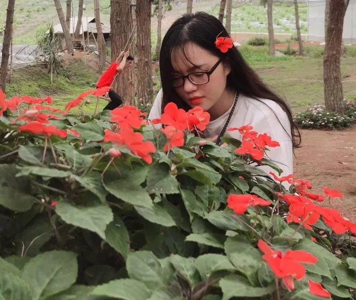 Vườn Dâu Chimi Farrm. (Nguồn: BlogAnChoi)